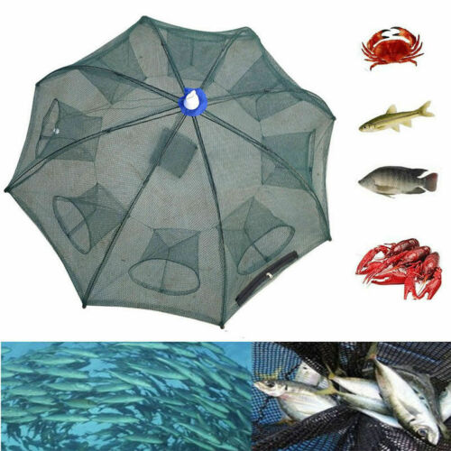 Heavy Duty 6/12 Holes Umbrella Foldable Fishing Trap Cast Net Shrimp Minnow New - Deals Kiosk