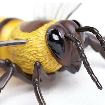 Honey Bee Incredible Creatures Figure Safari Ltd NEW Toys Collectibles Education - Deals Kiosk