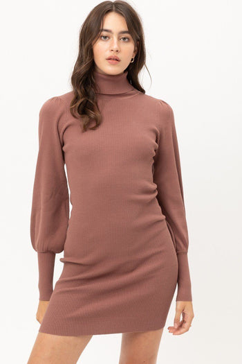 Turtle Neck Sweater Dress - Deals Kiosk