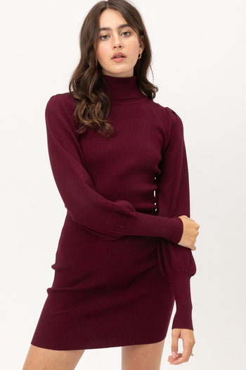 Turtle Neck Sweater Dress - Deals Kiosk