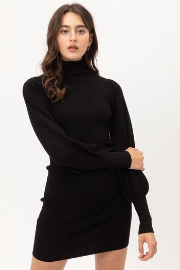Turtle Neck Sweater Dress - Deals Kiosk