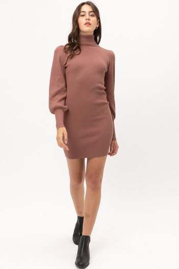 Turtle Neck Sweater Dress - Deals Kiosk