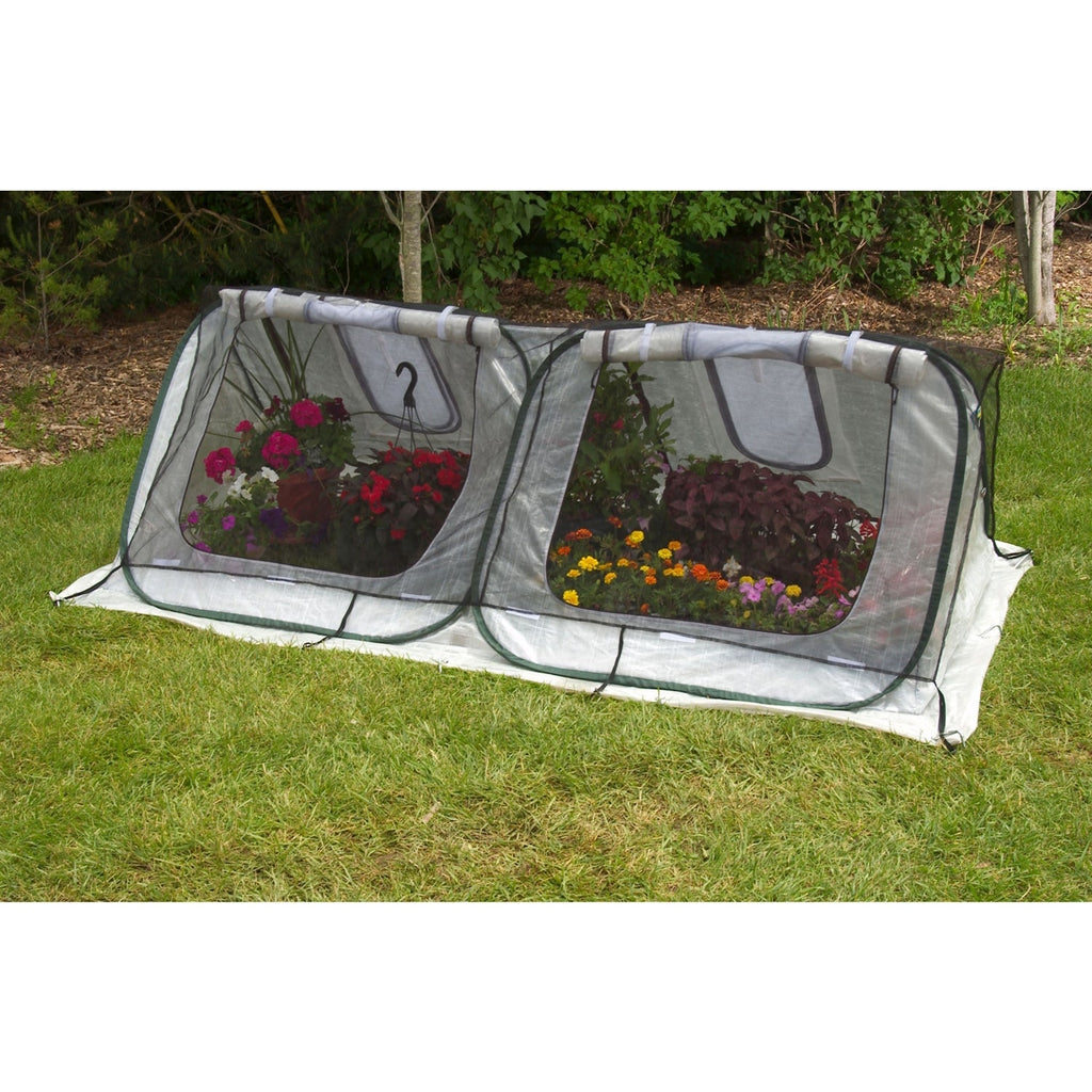 Flower Starter-House Low-Tunnel Cold-Frame Style Greenhouse - Deals Kiosk