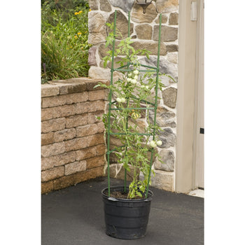 3-Pack of Tomato Plant Cage Climbing Fruit Veggie Garden Trellis - Deals Kiosk