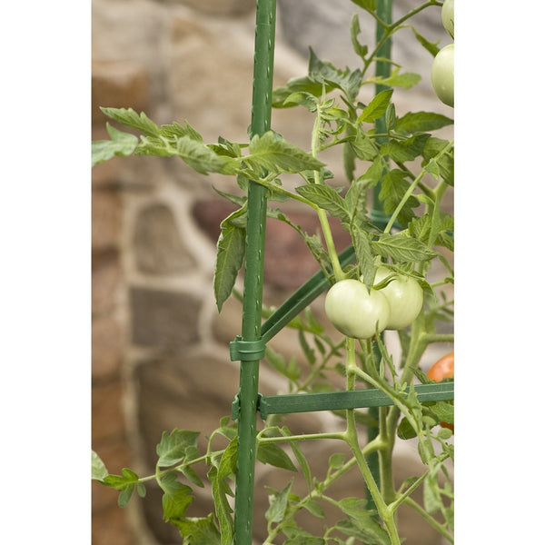 3-Pack of Tomato Plant Cage Climbing Fruit Veggie Garden Trellis - Deals Kiosk