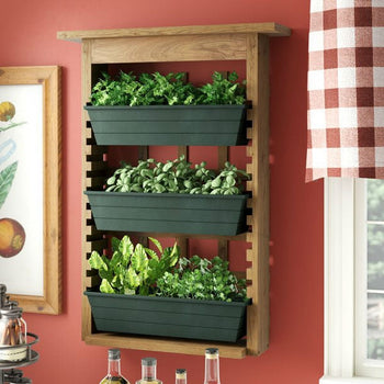 3 Piece Indoor/Outdoor Wood Wall Planter Vertical Garden - Deals Kiosk