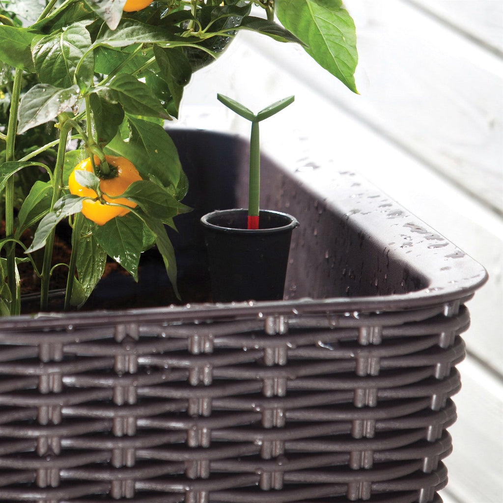 Modern Dark Brown Resin Wicker Raised Garden Bed Planter with Water Indicator - Deals Kiosk
