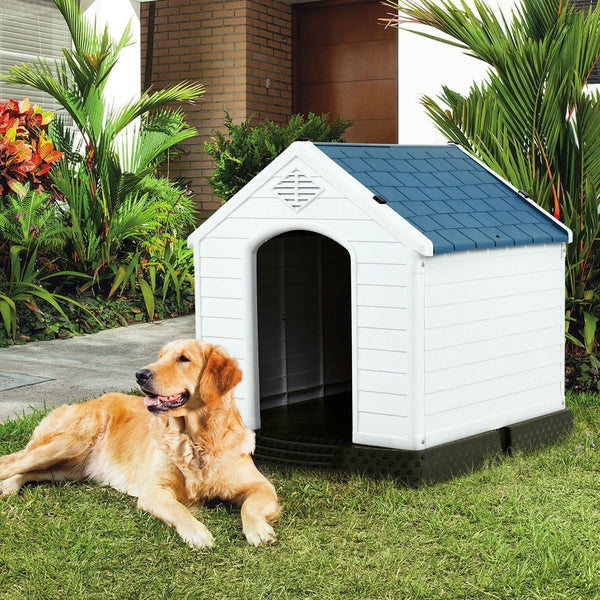 Medium size Outdoor Heavy Duty Blue and White Plastic Dog House - Deals Kiosk