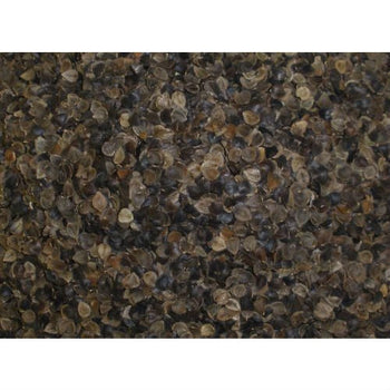 Japanese size 14 x 20 inch Organic Buckwheat Pillow - Deals Kiosk