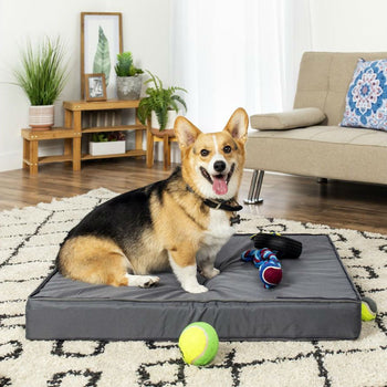 Comfy Memory Foam Dog Bed with Removable Grey Machine Washable Cover - Deals Kiosk