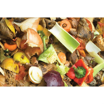 Steel Metal Wire 3-ft Compost Bin in Green - Make your own Garden Soil at Home - Deals Kiosk