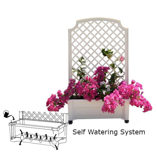 Indoor/Outdoor White Plastic Self Watering Planter with Trellis on Wheels - Deals Kiosk