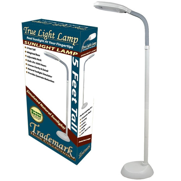 5-Foot Contemporary Floor Lamp with Energy Efficient Light Bulb - Deals Kiosk