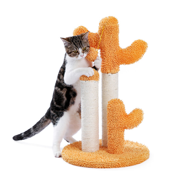 Cat Scratching Post Cactus Cat Scratcher Featuring with 3 Scratching Poles and Interactive Dangling Ball Orange XH - Deals Kiosk