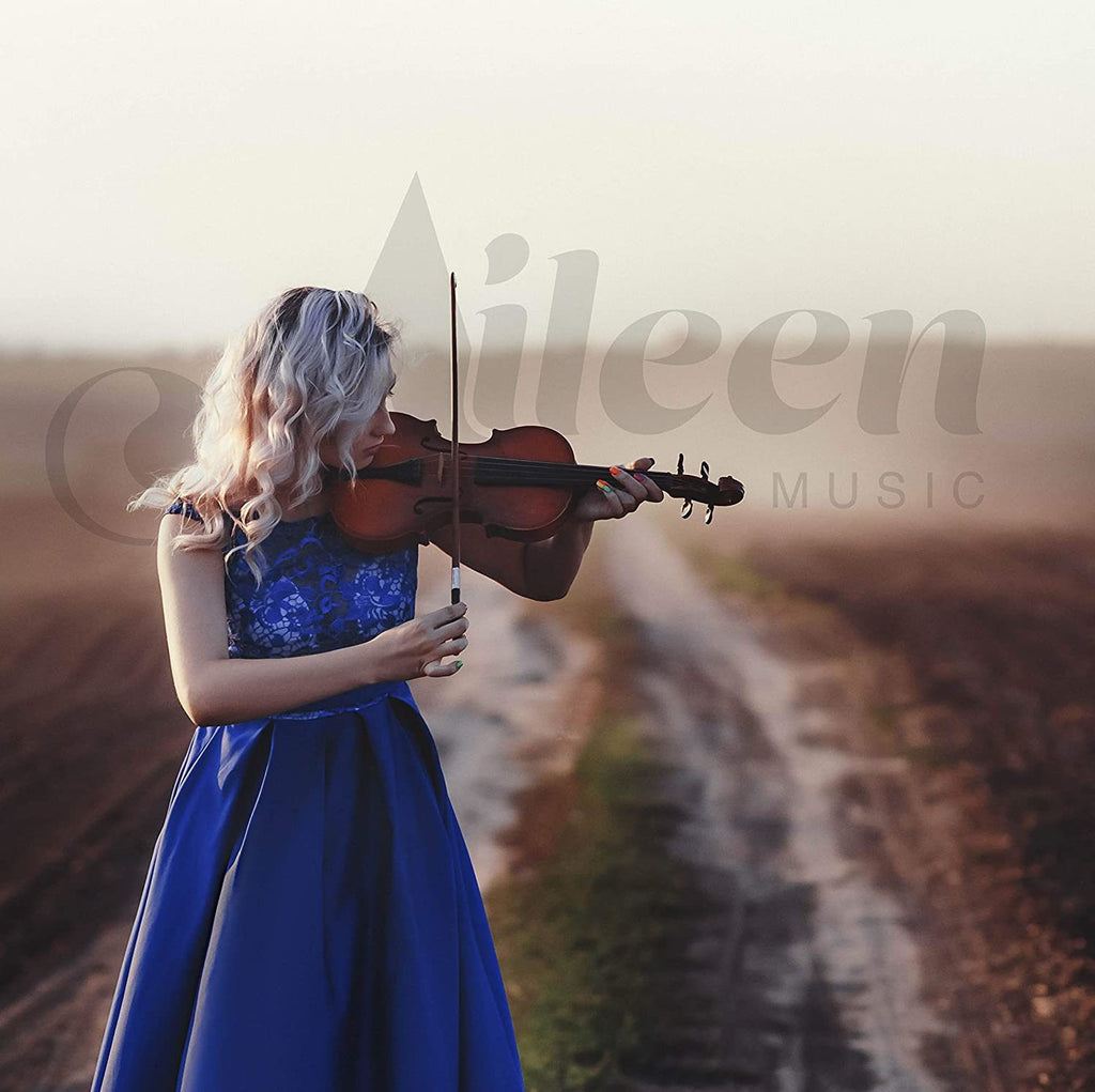 Aileen PREMIUM BEGINNER Series Violin Outfit - 4/4 Full Size Solid Wood Ebony Fitted for Kids Students, Teachers Approved - Deals Kiosk